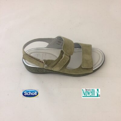 DR SCHOLL ARDEA SALVIA C