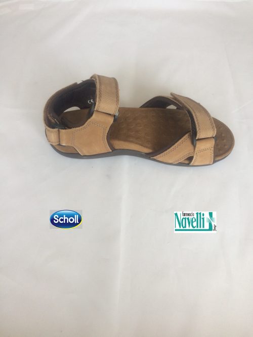 SCHOLL BARWON TESTA DI MORO