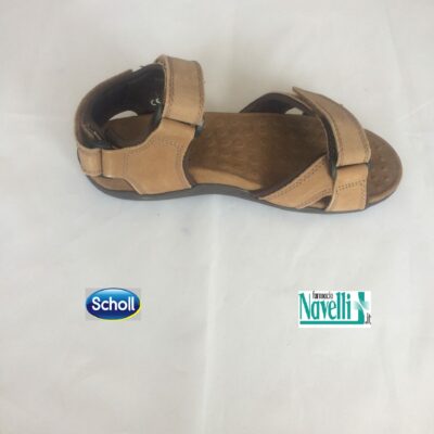 SCHOLL BARWON TESTA DI MORO