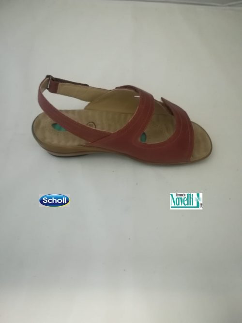 DR SCHOLL FIFE  MARRONE