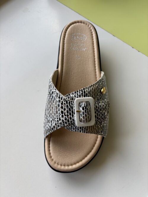 SCHOLL MANGO BIANCO MULTICOLOR