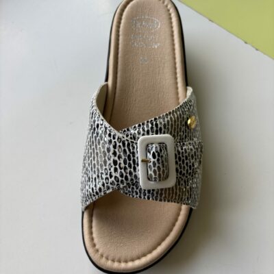 SCHOLL MANGO CACHI