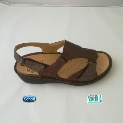DR SCHOLL ANGELINE TESTA DI MORO