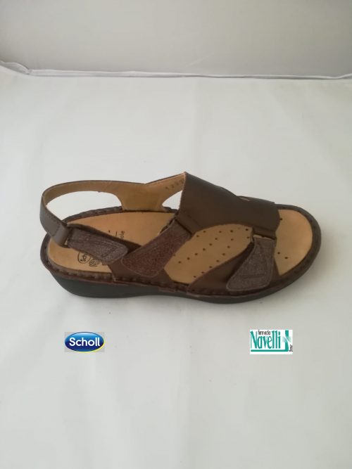 DR SCHOLL  ANGELINE TESTA DI MORO