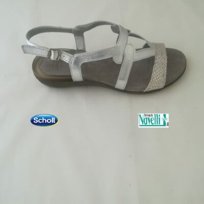 DR SCHOLL LORAINE ARGENTO