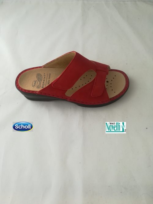 DR  SCHOLL NILDA  ROSSO